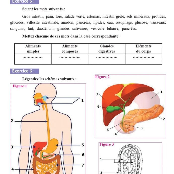 481114532_643768551539707_5569406171297346748_n
