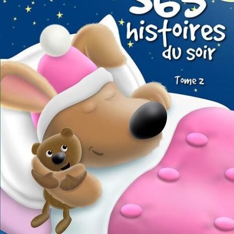 365-histoires-du-soir-tome-2_1024x1024@2x.jpg