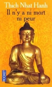 Il n'y a ni mort ni peur - Une sagesse réconfortante pour la vie