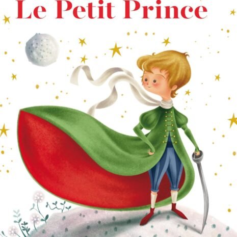 CouvPetitPrinceFR_1c2aaa25-d652-402c-941d-6b7f62a88362_1024x1024@2x.jpg