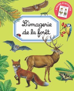L'IMAGERIE : L'imagerie de la forêt