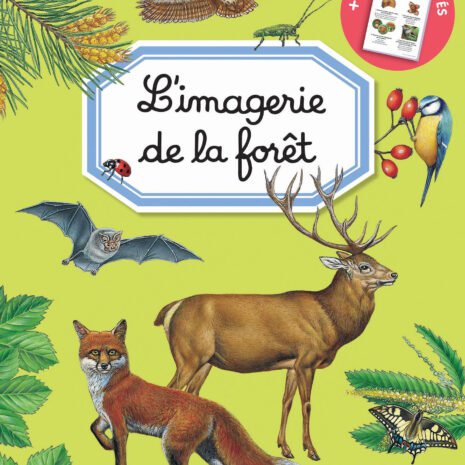 IMAG-Foret-COUV-2021.jpg