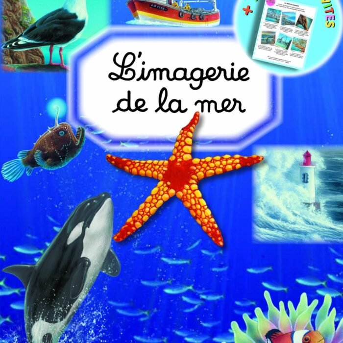 IMAG-La-mer-scaled-1.jpg IMAG-La-mer-scaled-1.jpg