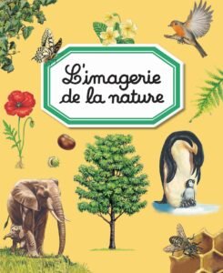 L'IMAGERIE : L'imagerie de la nature