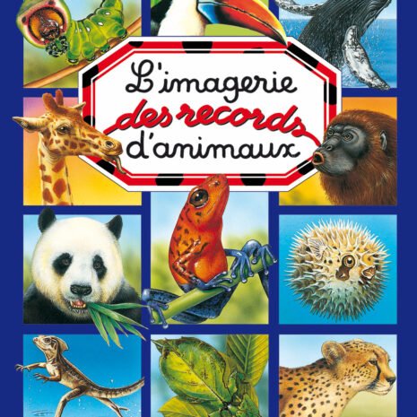 couv imagerie.indd