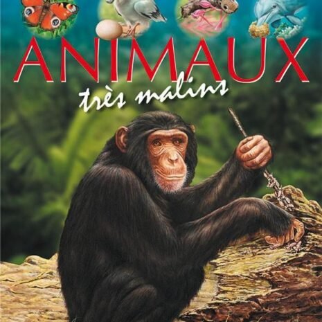 animaux-malins_1024x1024@2x.jpg