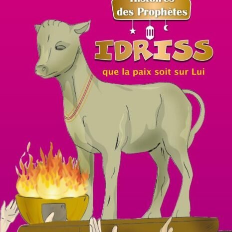 idriss_1_1024x1024@2x-1.jpg