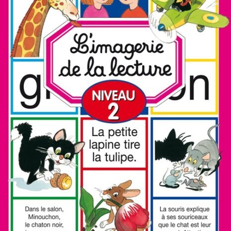 l-imagerie-de-la-lecture-niveau-2.jpg