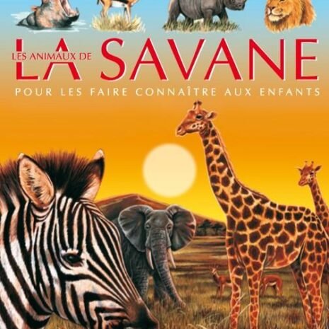 les-animaux-de-la-savane_1024x1024@2x.jpg