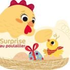 surprise-au-poulailler_1024x1024@2x.jpg