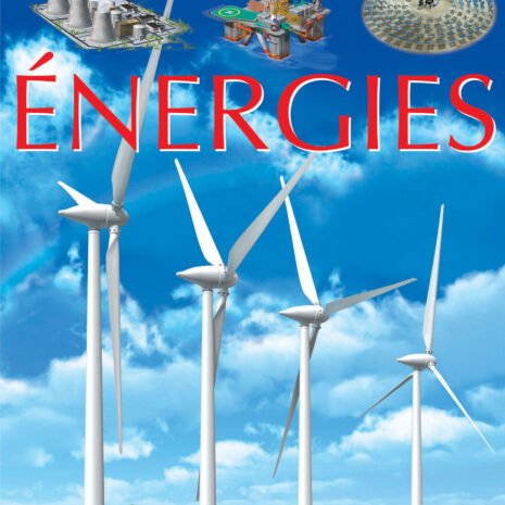 vign-COUV-ENERGIES.jpg