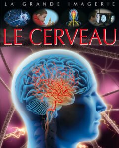 La grande imagerie : Le cerveau
