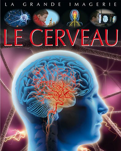 vign-Cerveau-COUV.jpg vign-Cerveau-COUV.jpg
