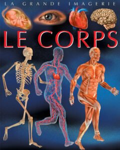 La grande imagerie :  Le corps