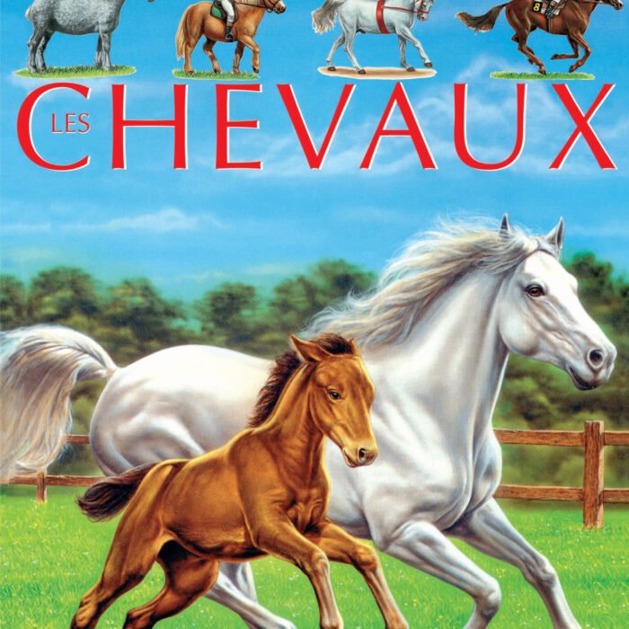 vign-couv-chevaux.jpg