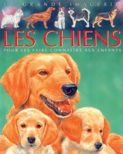 La grande imagerie : Les chiens