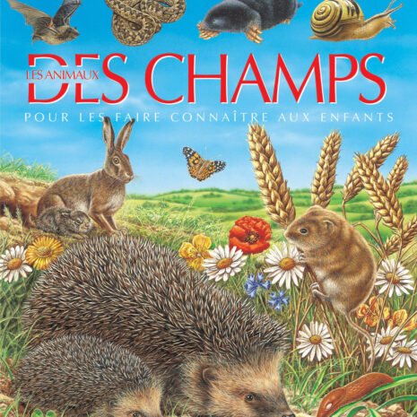 vign-couv-des-champs.jpg