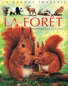La grande imagerie : La forêt