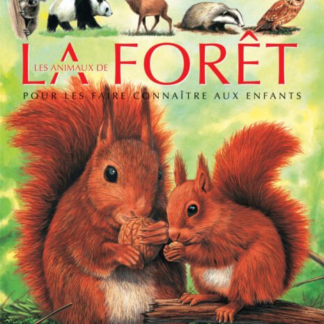vign-couv-foret.jpg
