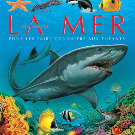 vign-couv-la-mer.jpg