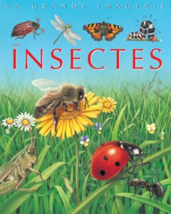 La grande imagerie : Insectes