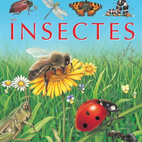vign-couv-les-insectes.jpg