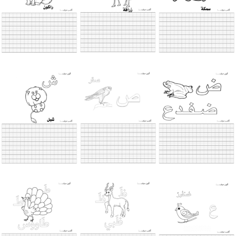 1002005-2
