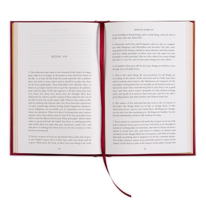 81PvjQ6rYUL._SL1500_